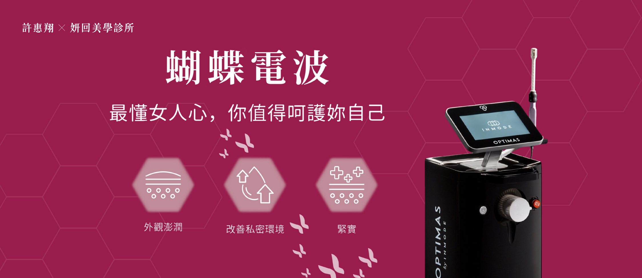 FormaV蝴蝶電波電腦版 BANNER
