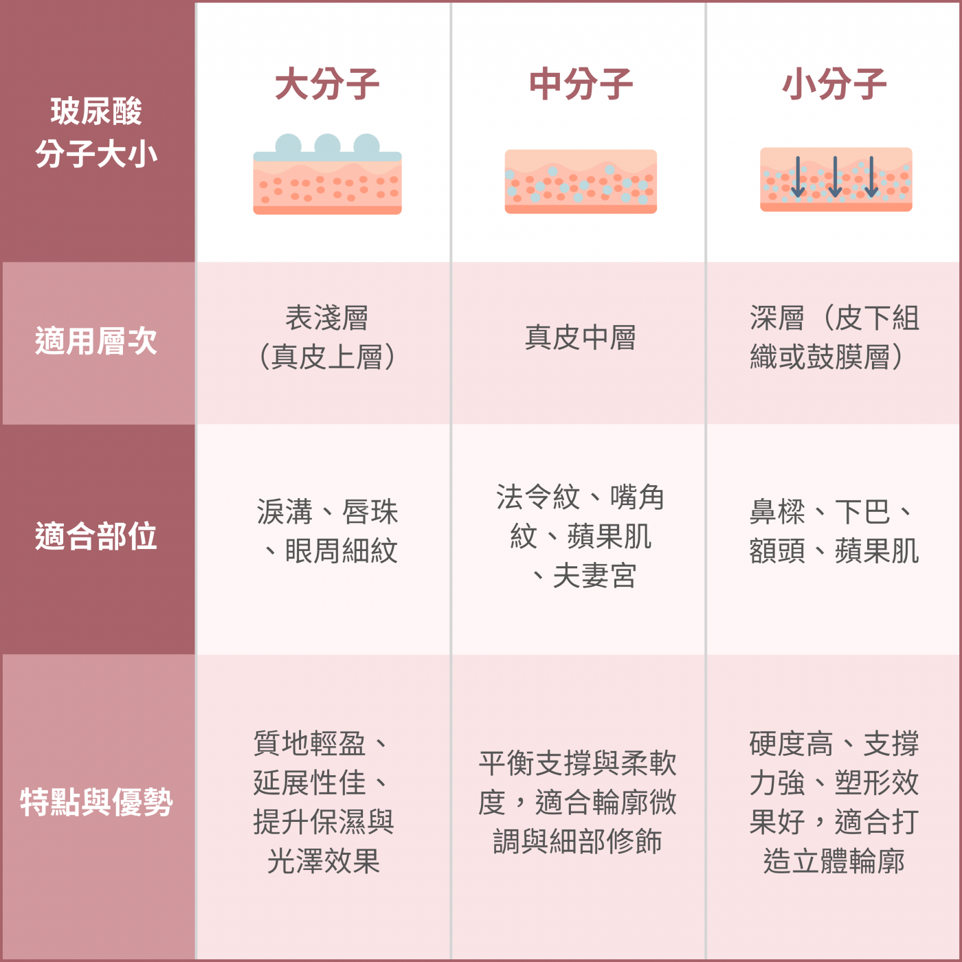 玻尿酸分子大小差異示意圖